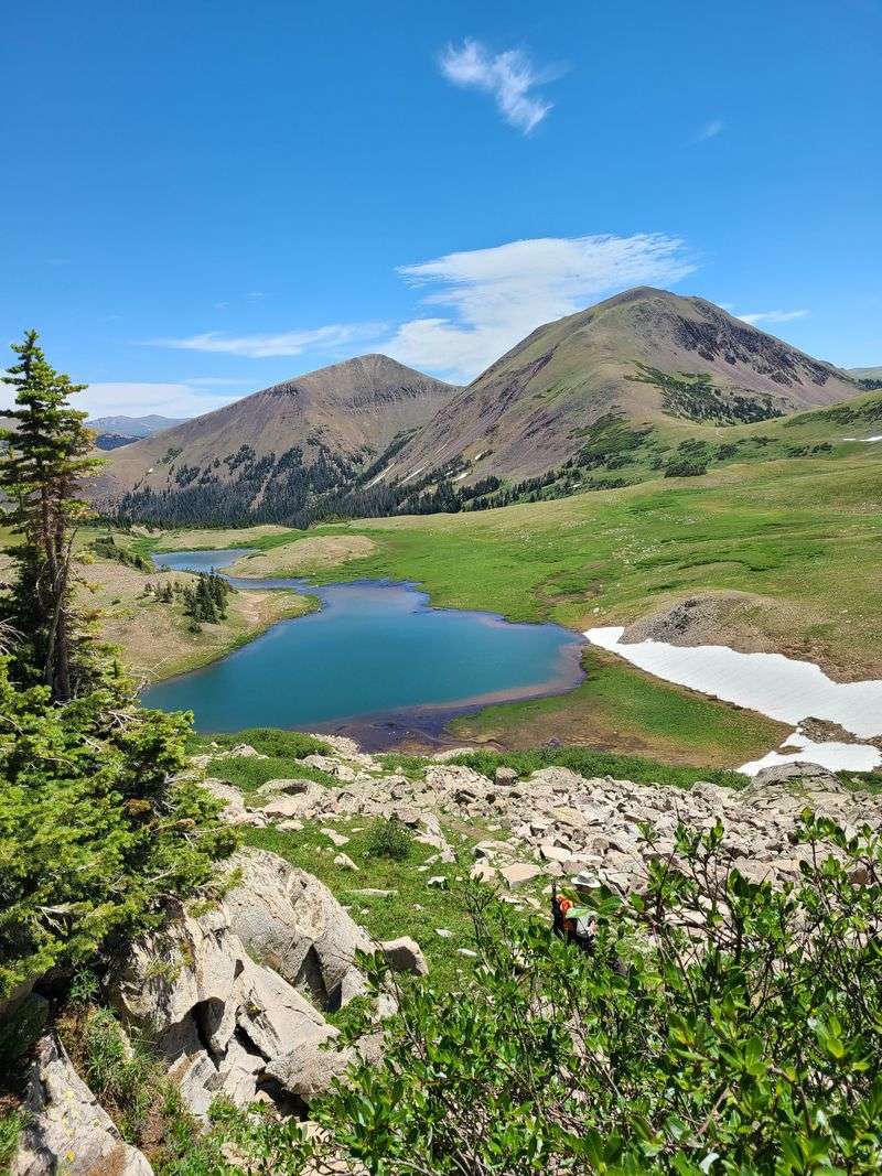 Mini Plan, Maximum Return