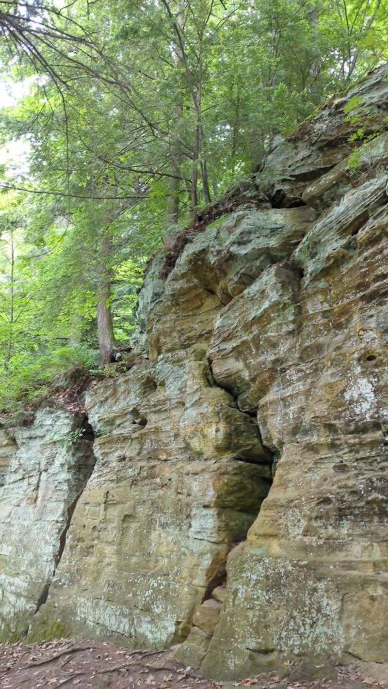 Fitzgerald Park Drive Ends At The Ledges