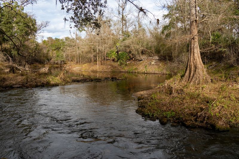 Five Counties And A Changing Landscape