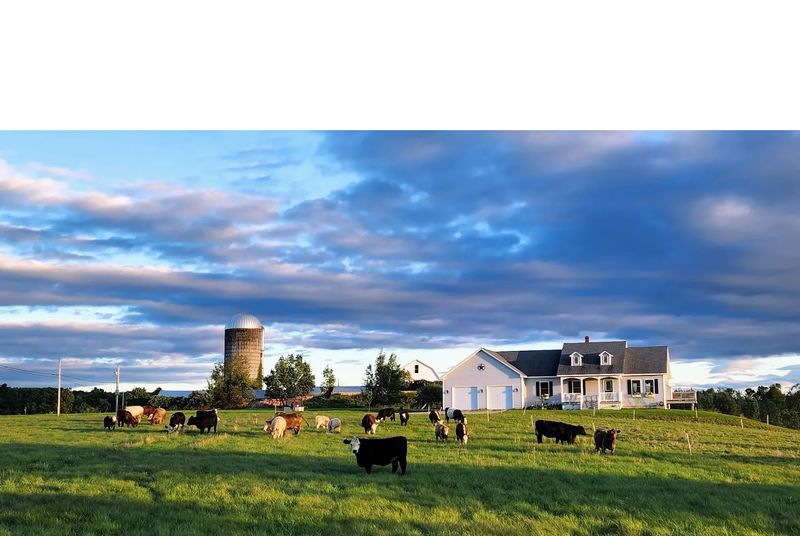 Five Generations Have Called This Hilltop Home Five Generations Have Called This Hilltop Home