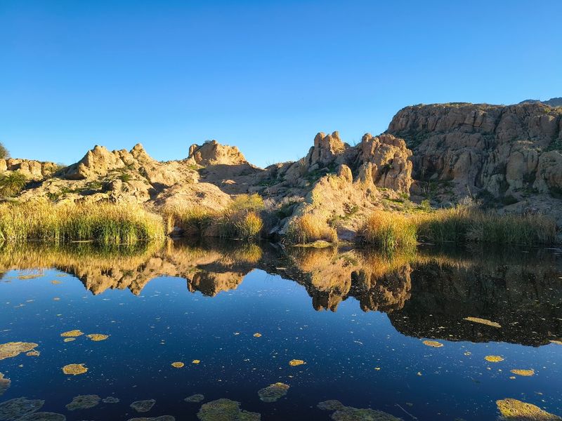 Over 3,900 Plant Species From Around The Globe