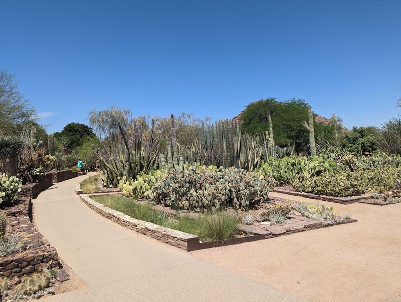 Five Trails, Five Different Desert Stories Five Trails, Five Different Desert Stories