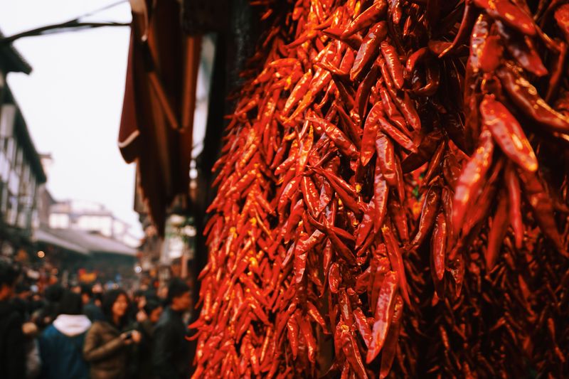 Flagstaff Chili Festival, Flagstaff, Arizona