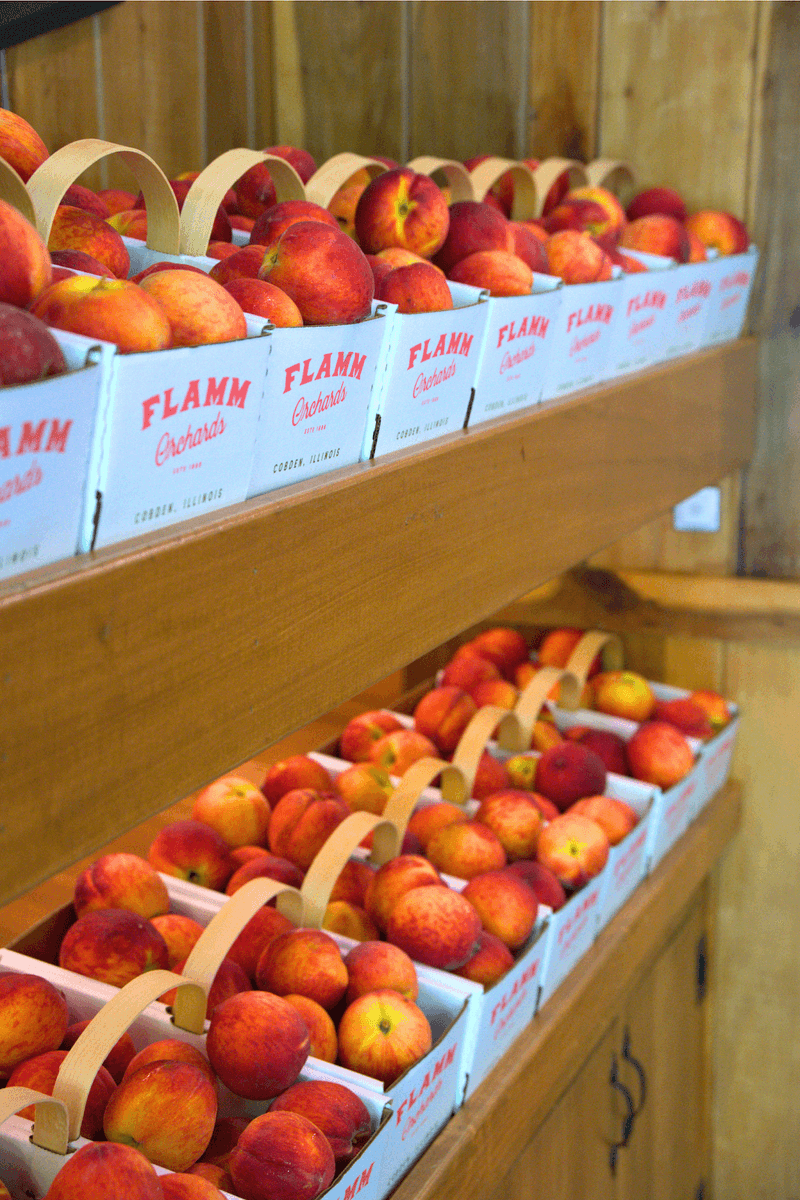 Flamm Orchards (Cobden, IL) Flamm Orchards (Cobden, IL)