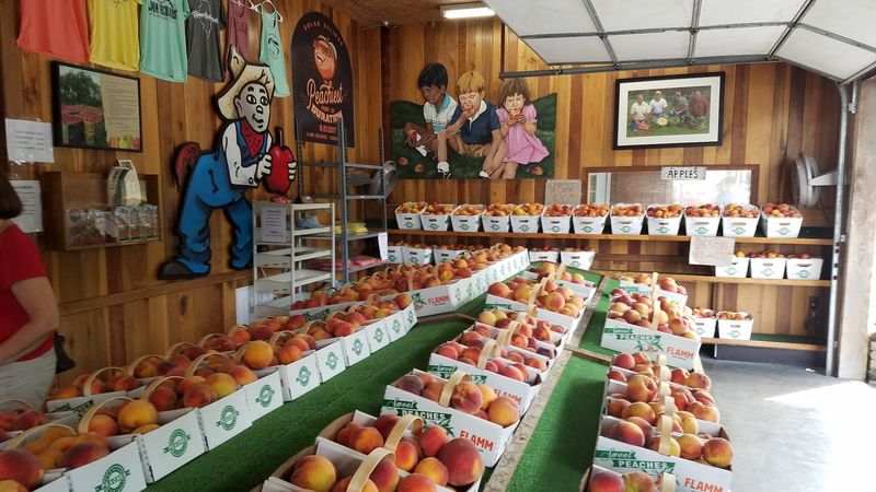 Flamm Orchards Fruits & Cream - Cobden