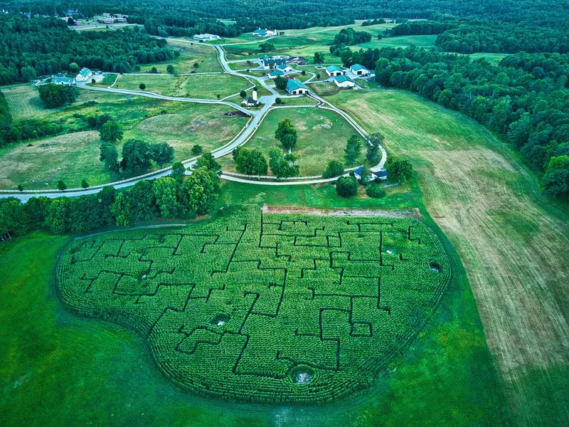 Flashlights Become Your Best Friend In This Five-Acre Maze