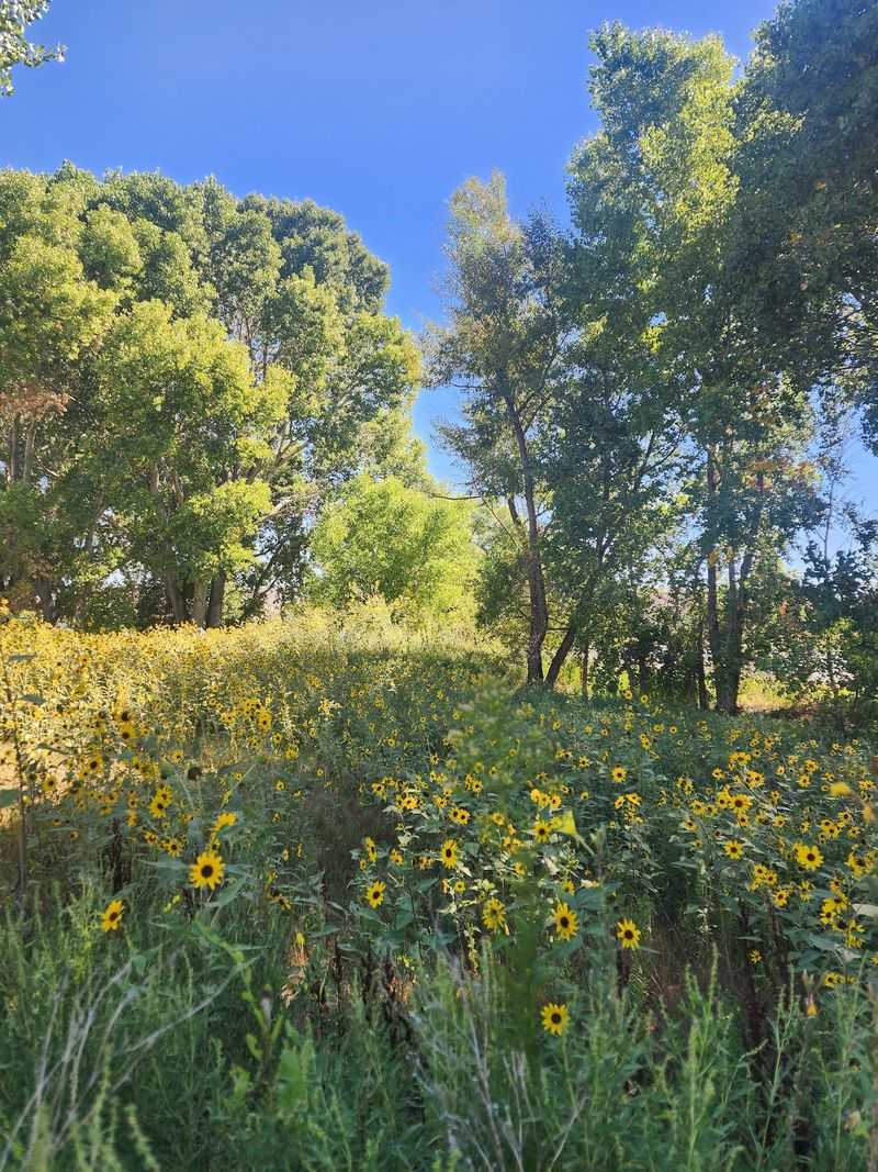 Flat, Easygoing Trails for Every Pair of Legs