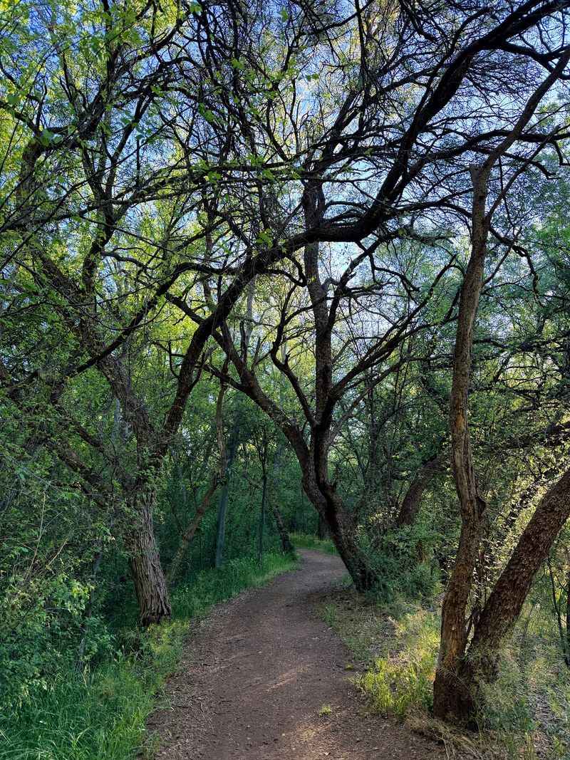 Flat, Friendly Trails for Every Pace