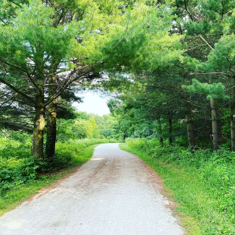 Flat, Friendly Trails for Every Pair of Legs