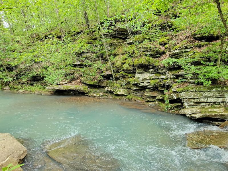 Scenic Creek Corridor Ideal For Slow Exploring
