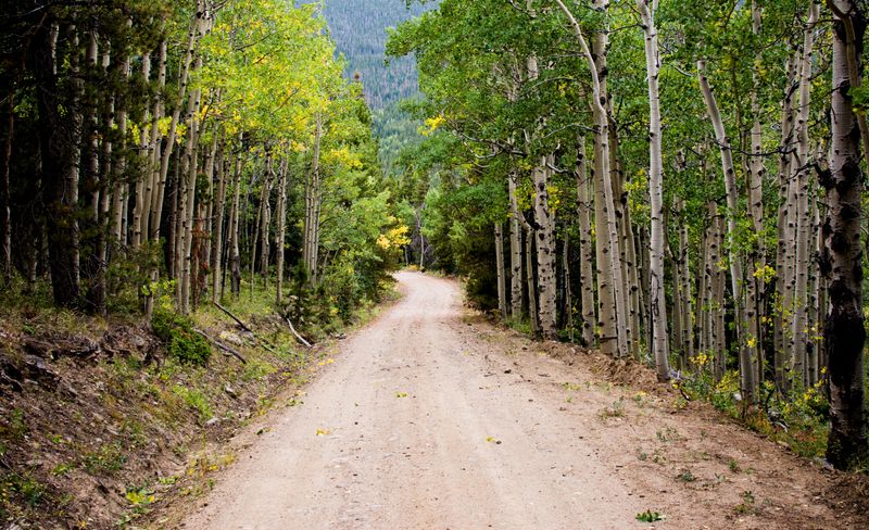 Flat Tops Trail Scenic Byway