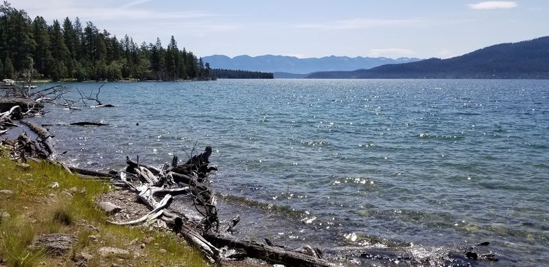 Flathead Lake's Largest Island