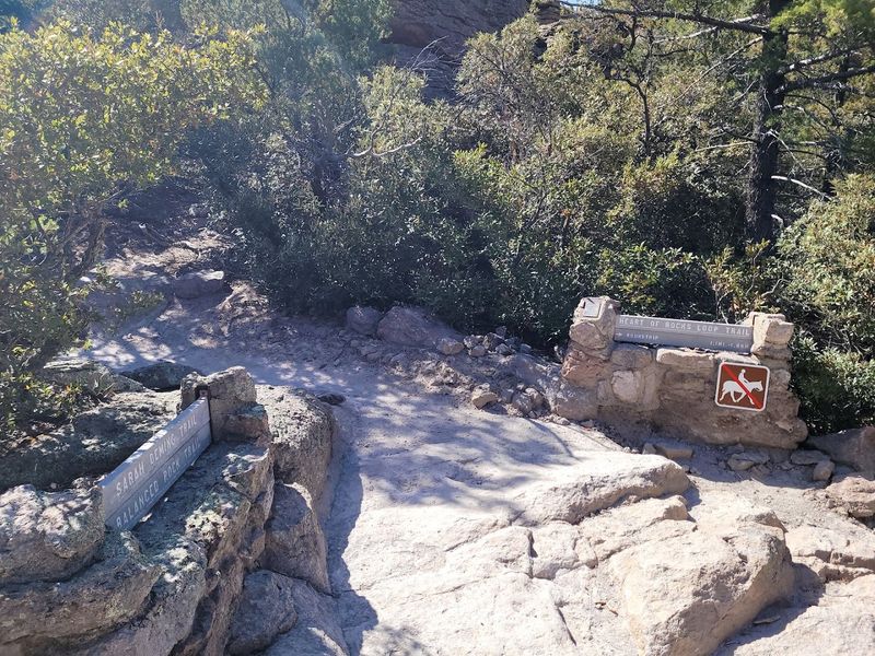 Heart Of Rocks Loop, Chiricahua National Monument