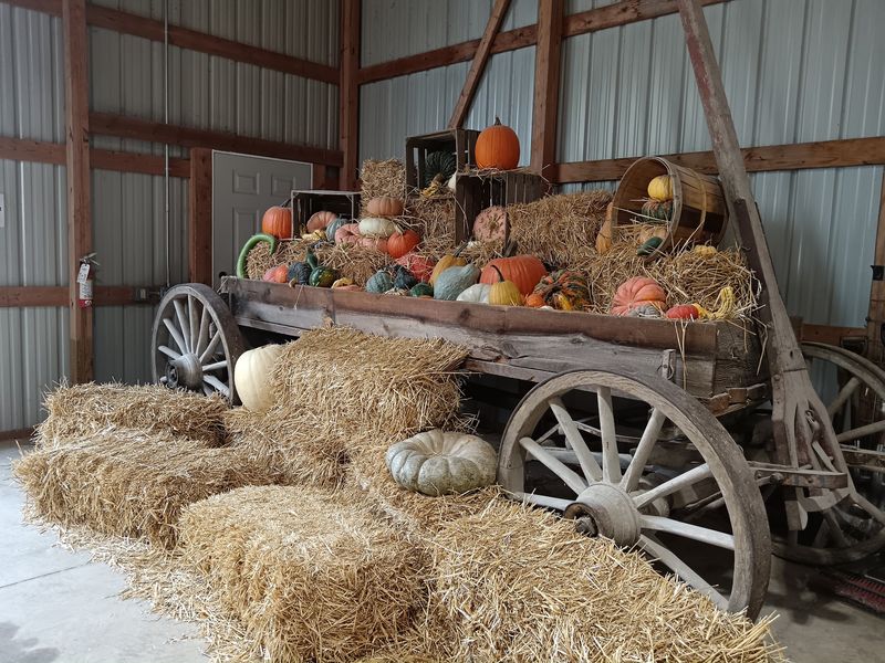 Fleitz Pumpkin Farm, Oregon