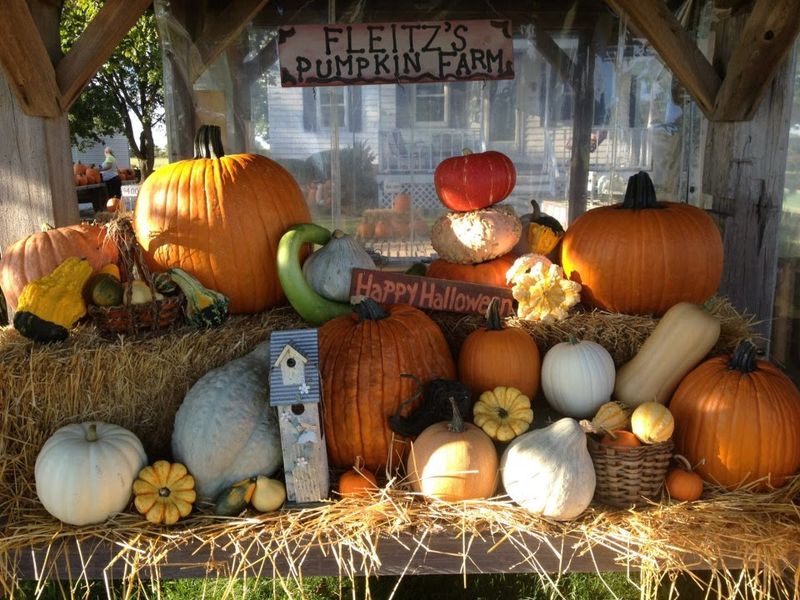 Fleitz Pumpkin Farm, Oregon
