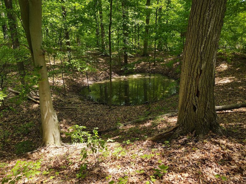 Flint Ridge Ancient Quarries and Nature Preserve, Glenford, Ohio