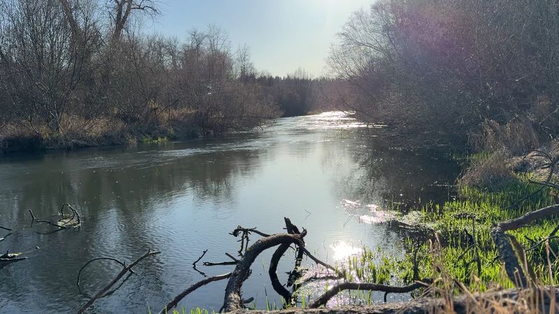 Floating Downstream To Nine Mile Floating Downstream To Nine Mile