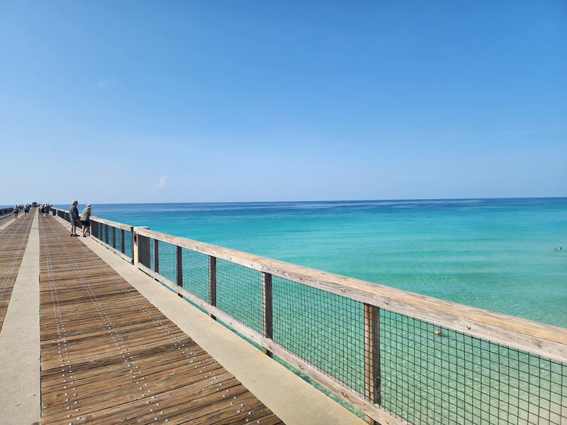 The $1 Walk That's Worth Every Step