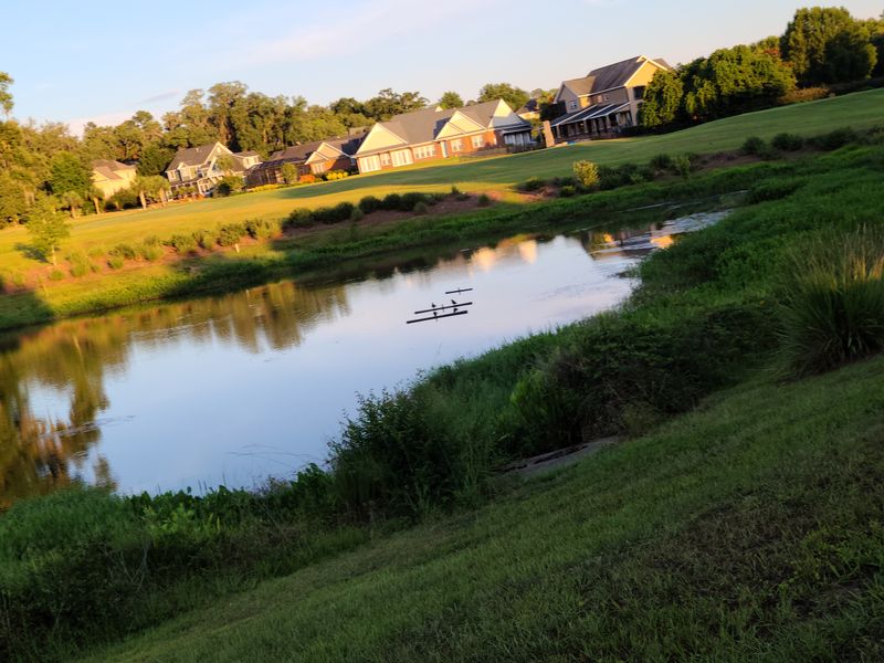 Lake Ella And Fred Drake Park: Ducks, Coffee, and Calm