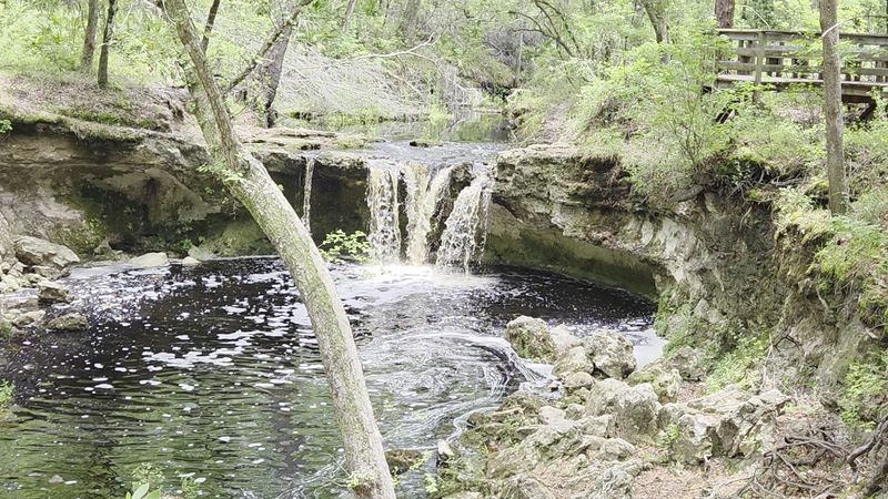 Florida Actually Has A Real Waterfall Here