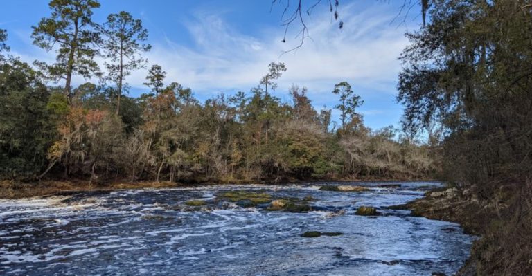 Florida Actually Has Its Own Whitewater Rapids And Most People Don’t Realize They Exist