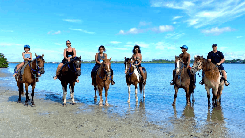 Florida Beach Horses, Bradenton