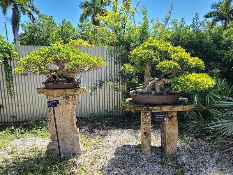 Heathcote Botanical Gardens, Fort Pierce