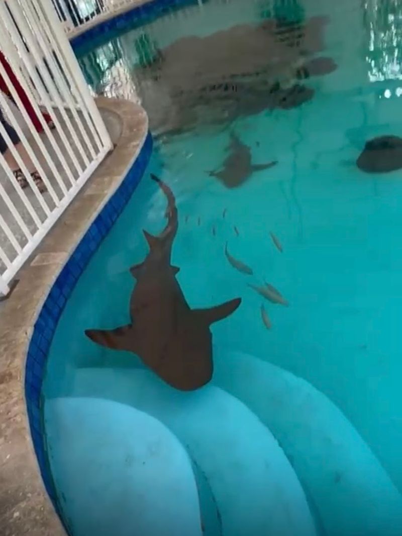 Sandoway Discovery Center, Delray Beach