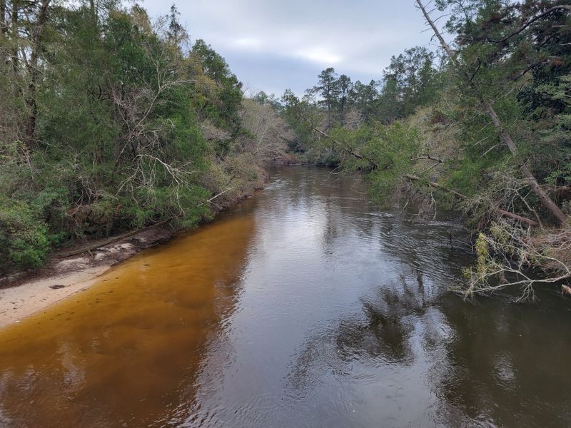 Blackwater River State Forest — Milton