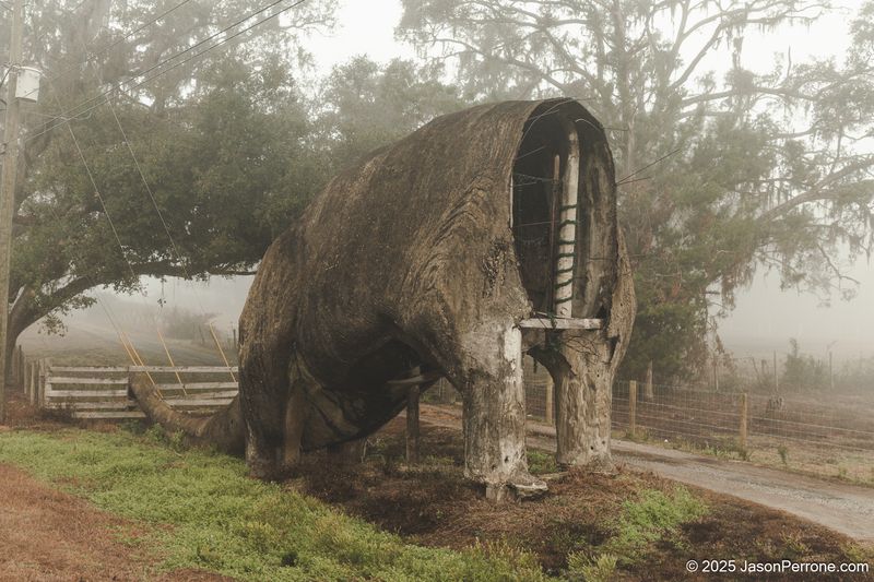 Headless Brontosaurus (Lake Lindsey Dinosaur) – Brooksville