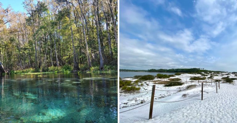 Florida Has 175 State Parks And These Are The Most Beautiful Ones You Can’t Miss