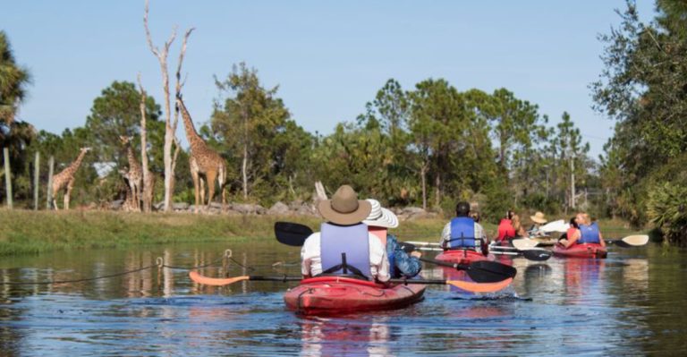 Florida Has A 75-Acre Zoo Where You Can Kayak With Zebras And Giraffes