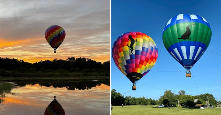 Florida Has A Hot Air Balloon Festival That Lights Up The Sky Every June