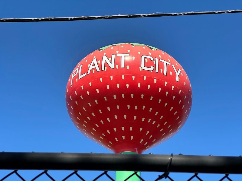Florida Has A Long Tradition Of Quirky Roadside Landmarks Florida Has A Long Tradition Of Quirky Roadside Landmarks