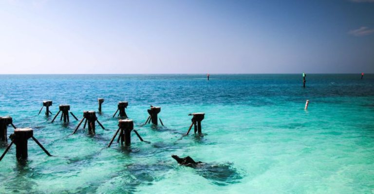 Florida Has The Only Living Barrier Reef In America Where You Can Swim With Tropical Fish