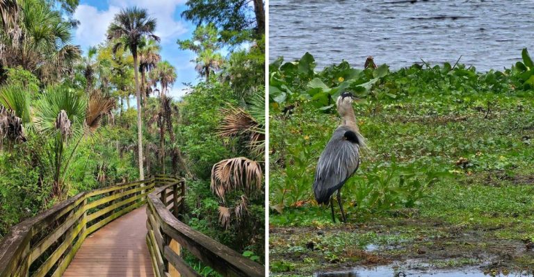 Florida Hikes To Do This April With Big Rewards For Just A Few Miles