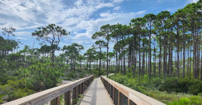 Florida Is Home To One Of The Longest Scenic Boardwalks In The South