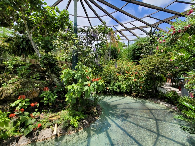 Arrival Through Tradewinds Park