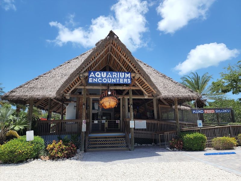 Florida Keys Aquarium Encounters, Marathon Florida Keys Aquarium Encounters, Marathon