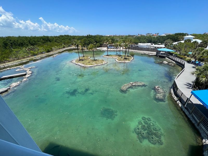 Florida Oceanographic Coastal Center, Stuart Florida Oceanographic Coastal Center, Stuart