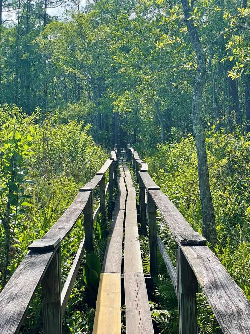 Florida Scenic Trail Trailhead, Oviedo