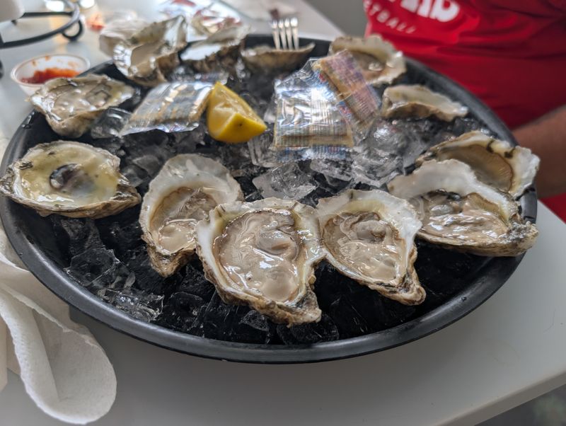 Apalachicola Oysters On The Half Shell