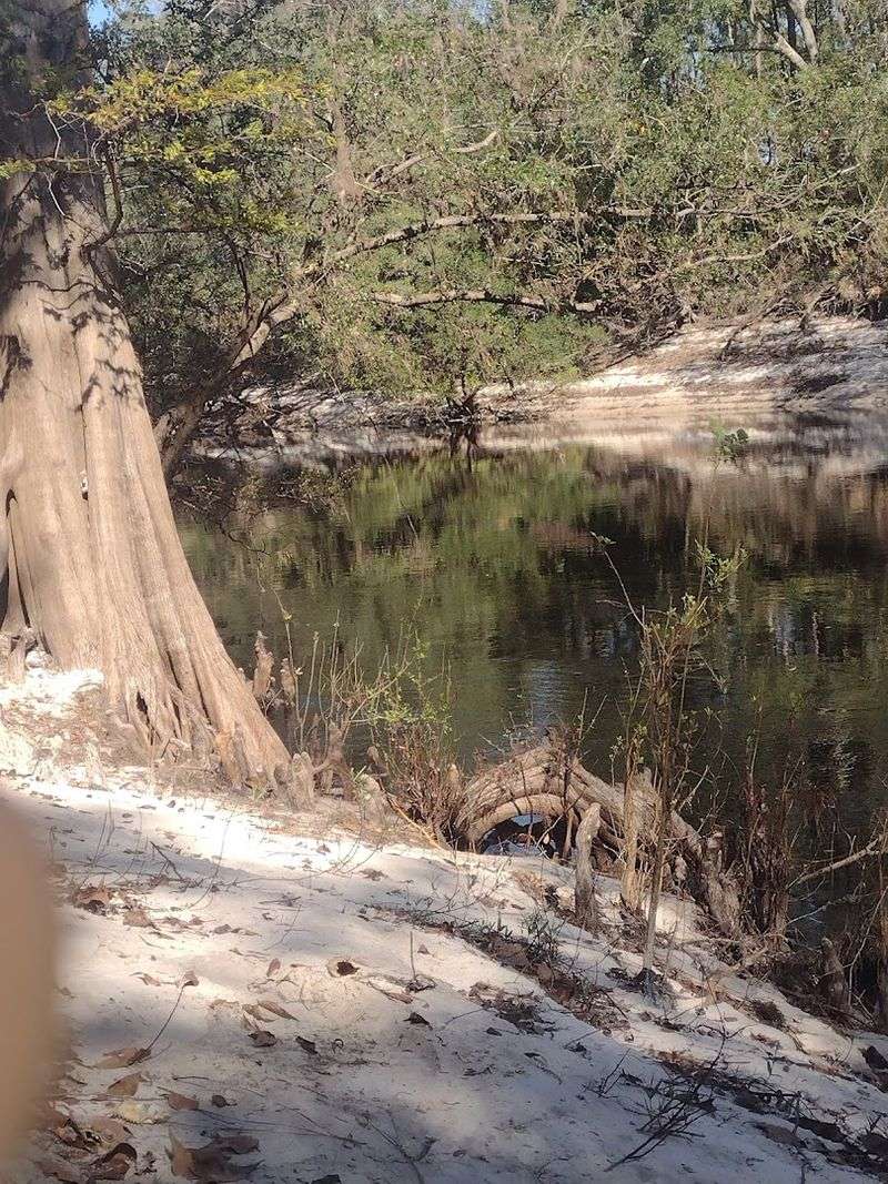 Florida Trail - Suwannee River Section, White Springs