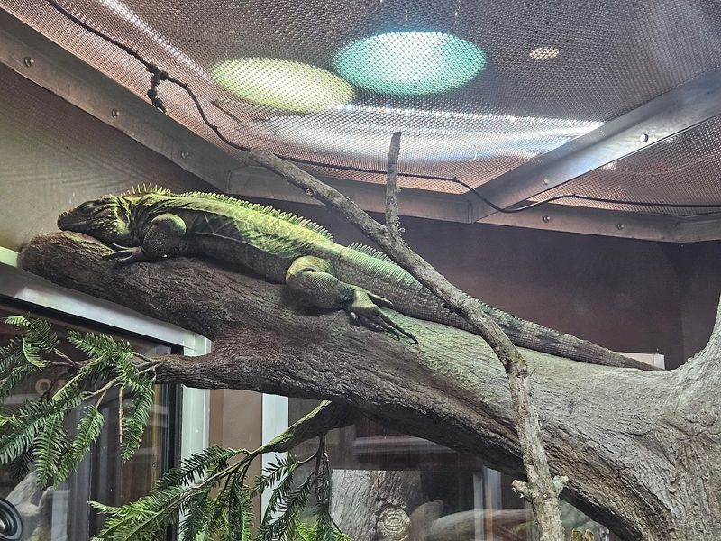 Water Play Areas That Save The Day When Tampa Heat Peaks