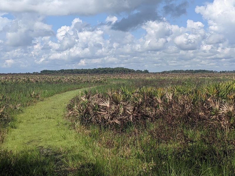 Florida's Last Great Dry Prairie Ecosystem