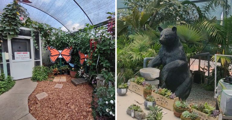 Florida’s Most Charming Greenhouse Turns Plant Shopping Into A Full Afternoon Escape