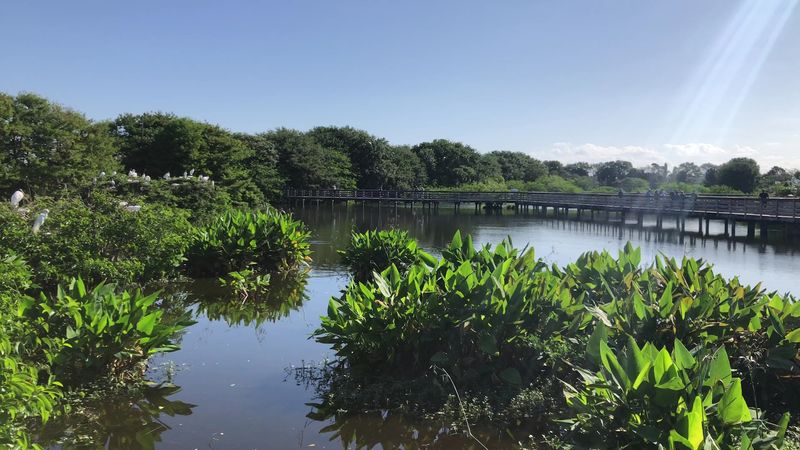 Reclaimed Water Creates Wildlife Paradise