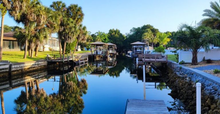 Florida’s Most Unique Wildlife Encounter: Swim With Manatees In This Peaceful Spot