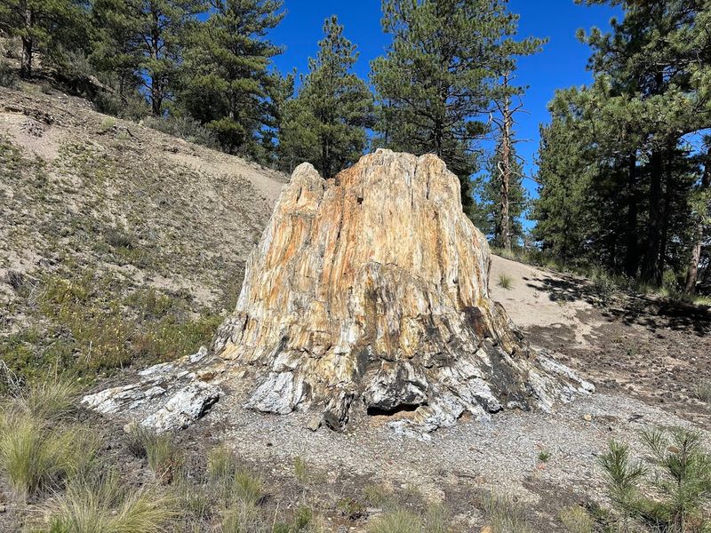 Florissant Fossil Beds National Monument - Florissant Florissant Fossil Beds National Monument - Florissant