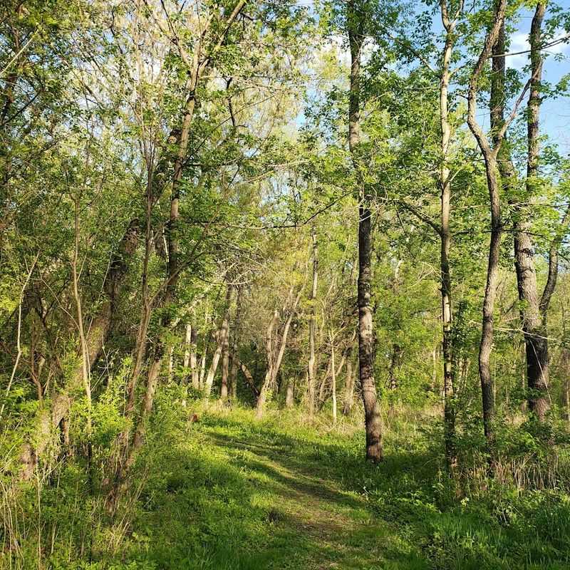 Hawthorne Hill Nature Center Trails, Elgin